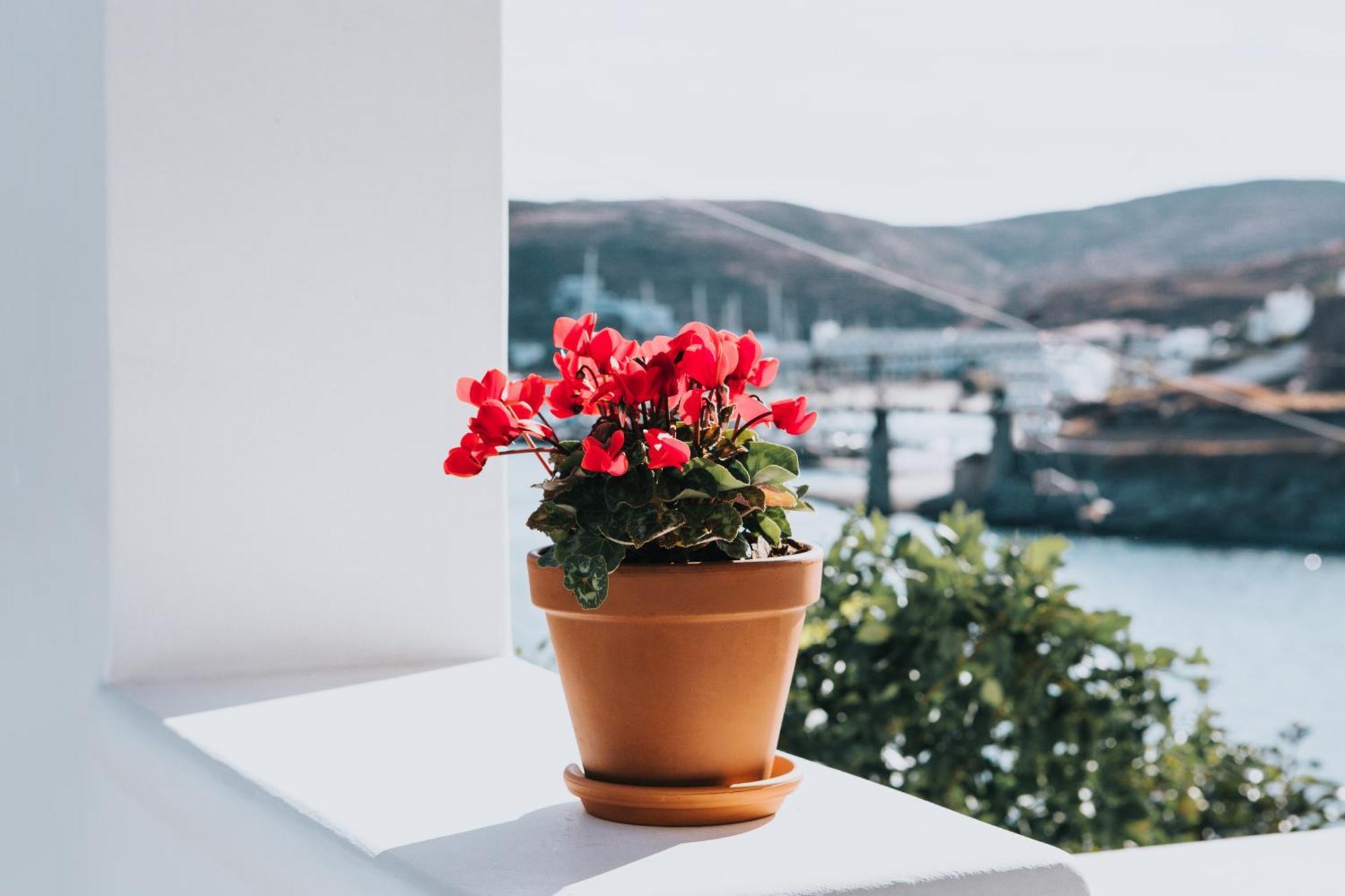 Fos Suites Loutrá 외부 사진